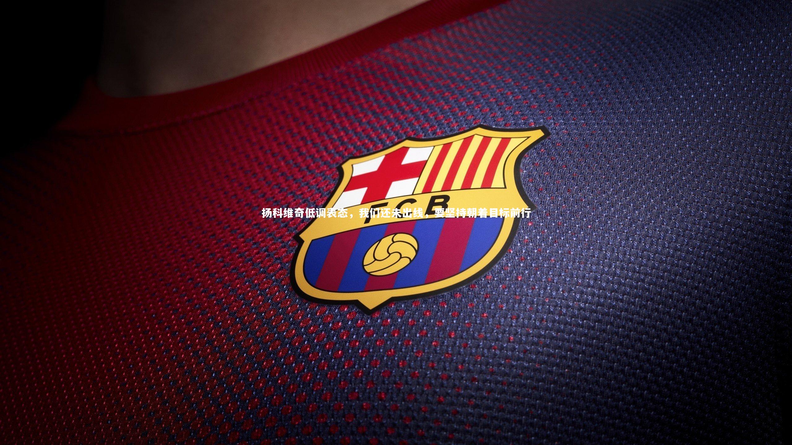 28圈：扬科维奇低调表态，我们还未出线，要坚持朝着目标前行